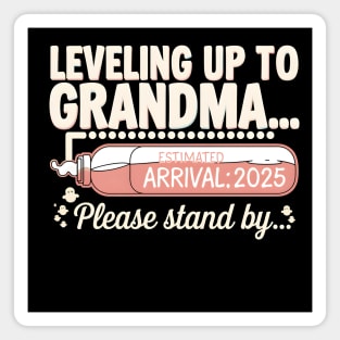 Leveling Up To Grandma 2025 Magnet